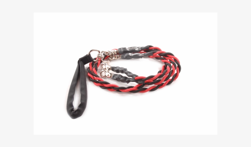 Bungee Pupee Double Leash 4' Red/blk Med Up To 45 Lb - Wire, transparent png #8563351