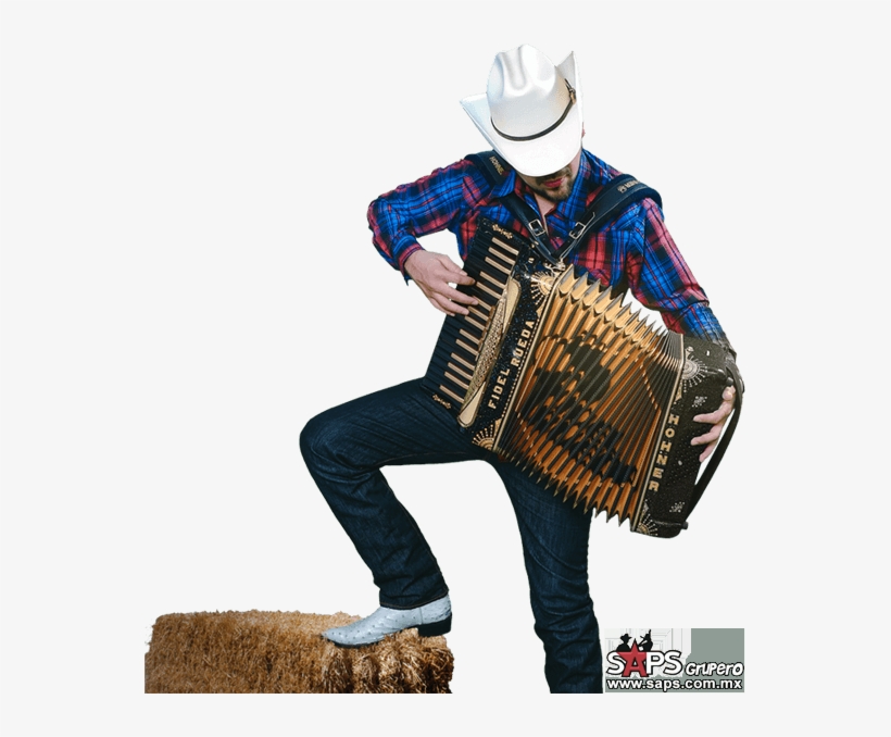 Noticias - Saps Grupero, transparent png #8564637