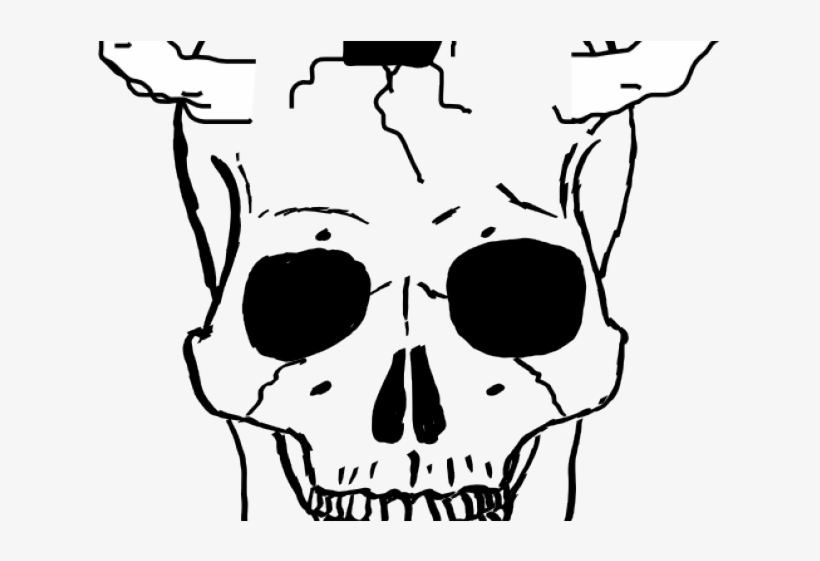 Skeleton Head Clipart Skelleton - Cara De Esqueleto Dibujo, transparent png #8566328
