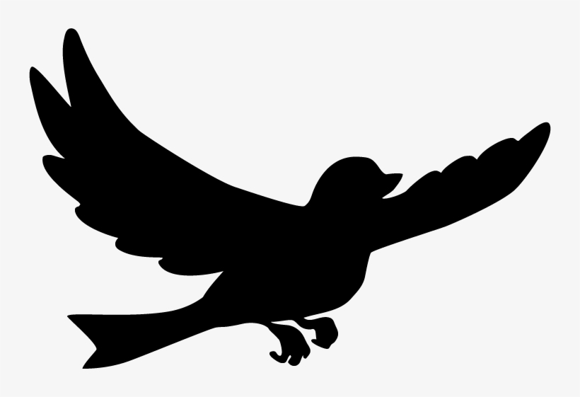 Bird Of Prey, transparent png #8566600