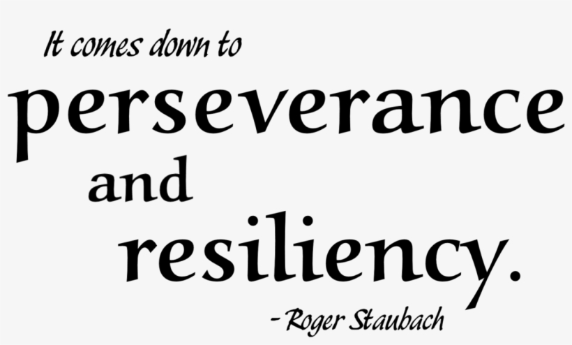Free Collection Of 40 Printable Quotes Perseverance - Perseverance, transparent png #8566781