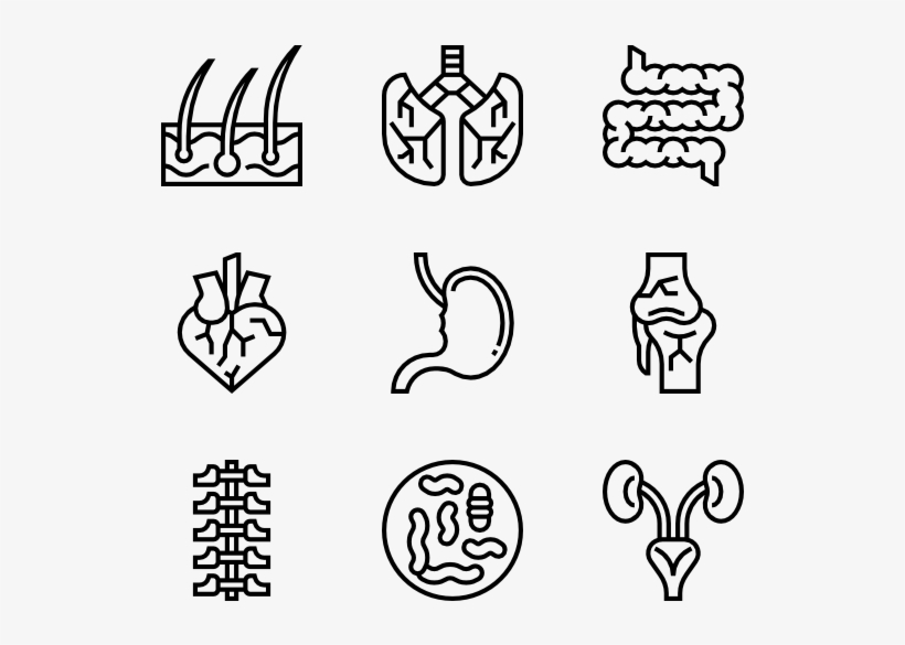 Human Organs - Consumer Behavior Icon, transparent png #8567912