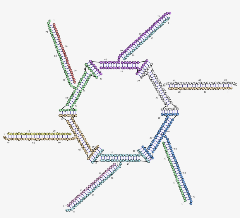 Diagram, transparent png #8568515