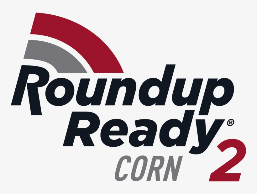 3743 Png Roundup Ready Corn2 Color Rgb En - Roundup Ready 2, transparent png #8569195