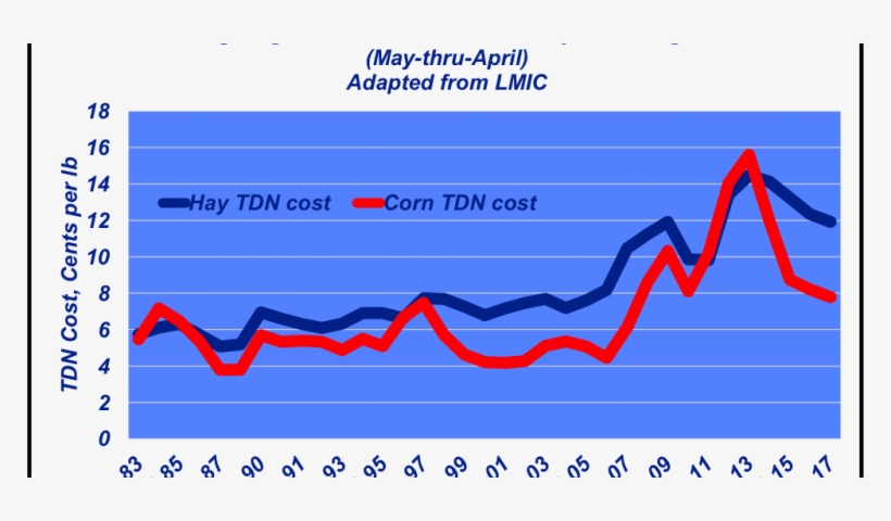 Is Corn Still A Viable Feeding Option - Cattle Market Trends Graph, transparent png #8569461