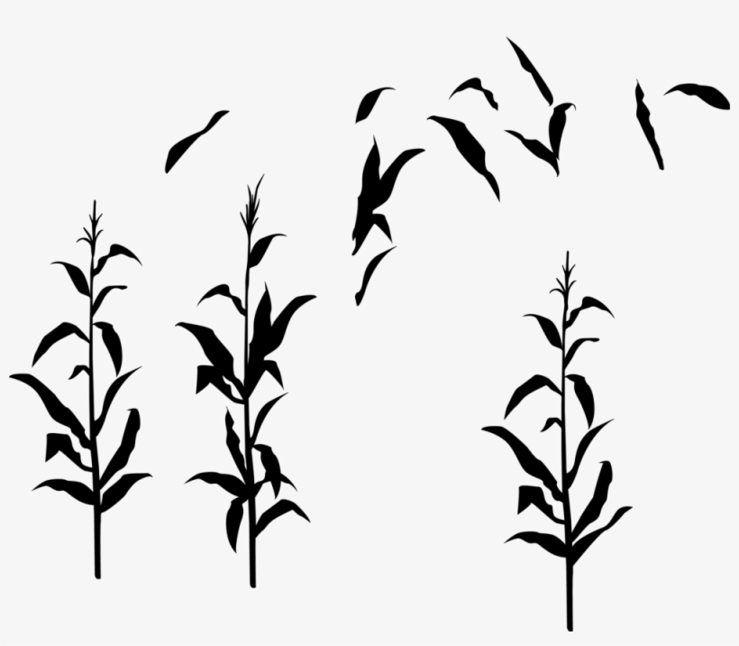 Cornstalkfloat - Silhouette, transparent png #8569828