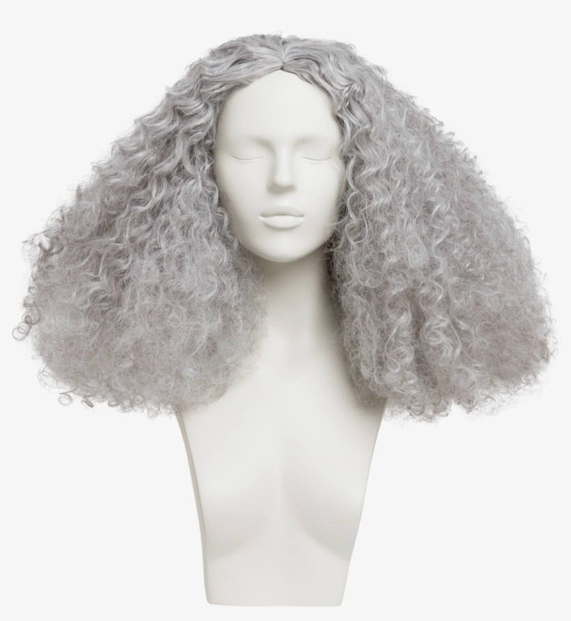 Female Wigs - Lace Wig, transparent png #8569837