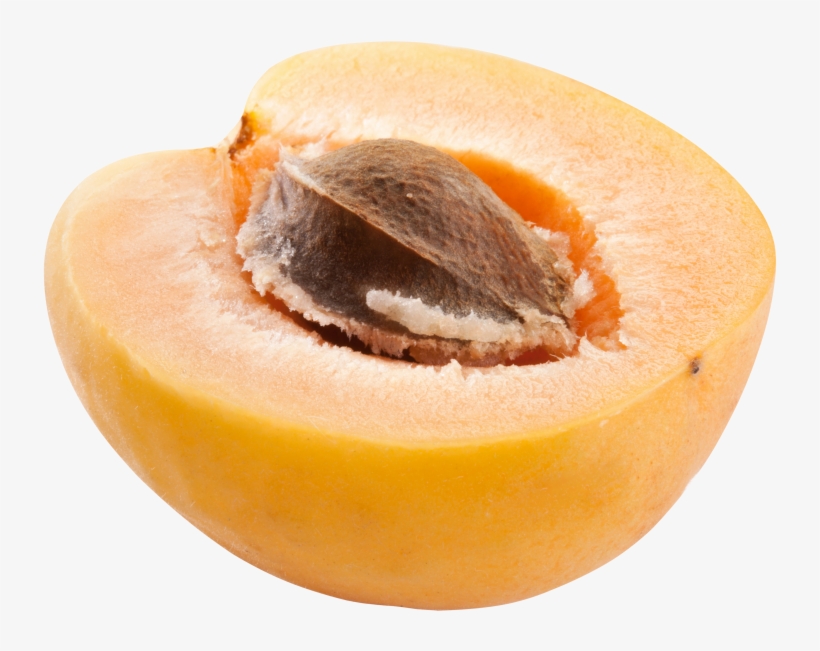 Apricot, transparent png #8571095