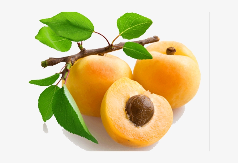 Apricot Fruit Name In Hindi, transparent png #8571136