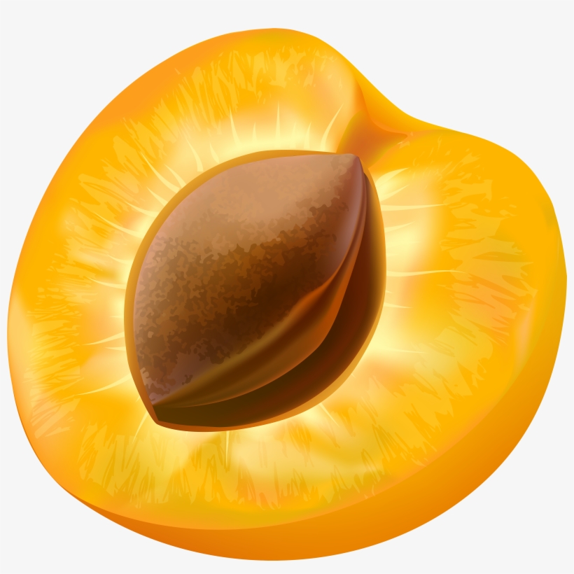 Half Apricot Transparent Image - Illustration Abricot, transparent png #8571427