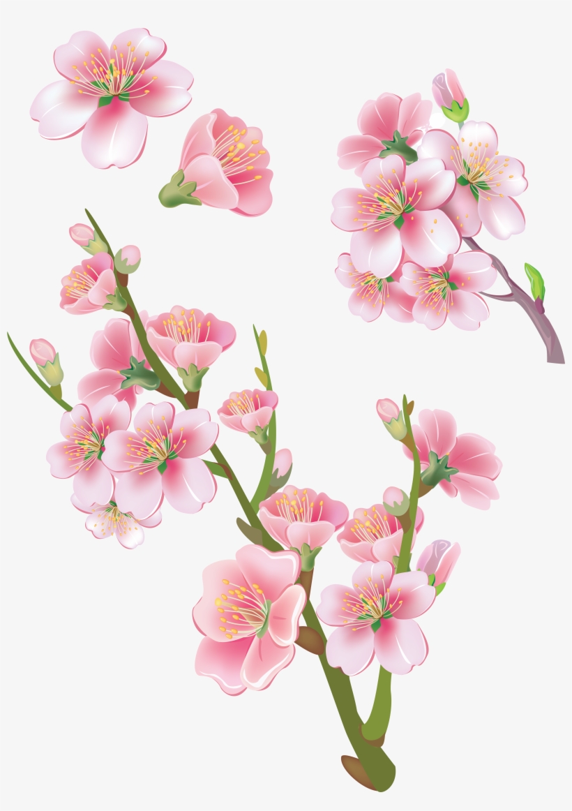 Sakura Png, transparent png #8572219