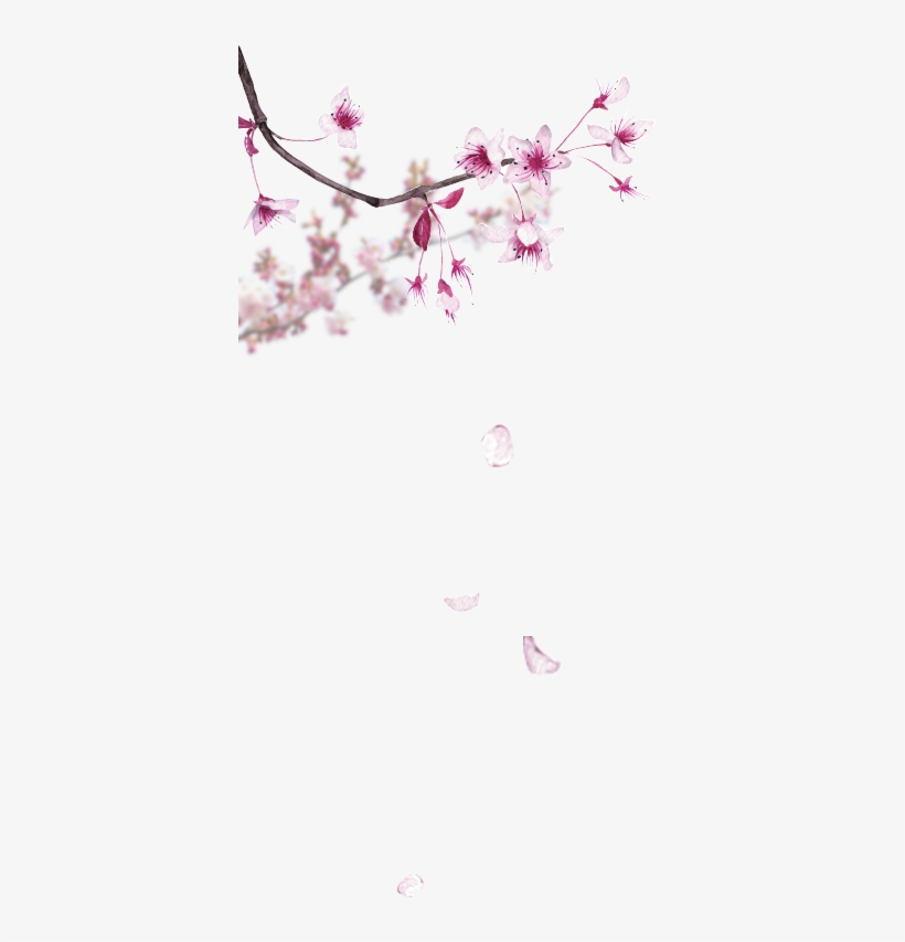 Parfum Pas Cher, Coffret Parfum, Parfumerie En Ligne - Cherry Blossom Watercolor, transparent png #8572260