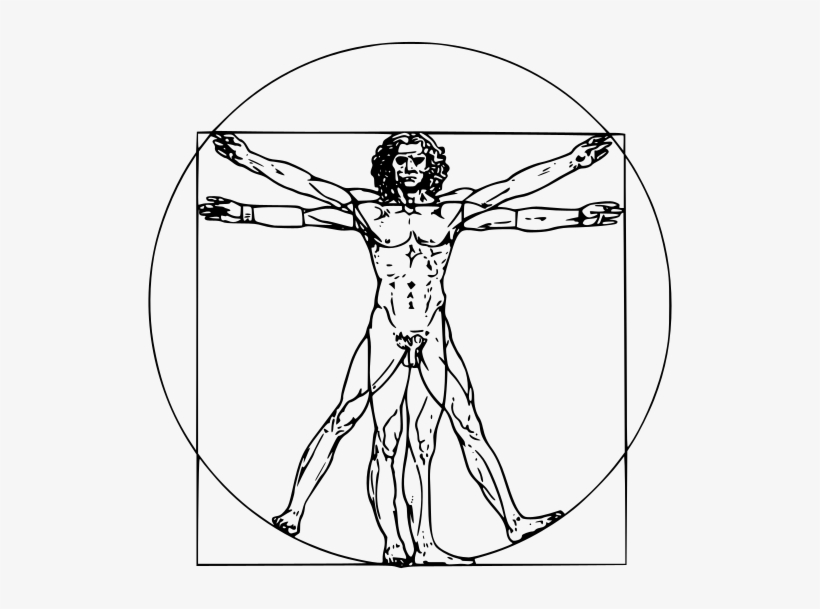 Vitruvian Man, transparent png #8572985