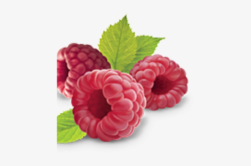 Raspberry, transparent png #8574928