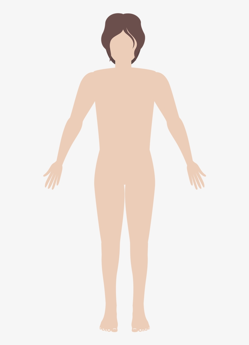 Human Body - Illustration, transparent png #8575046