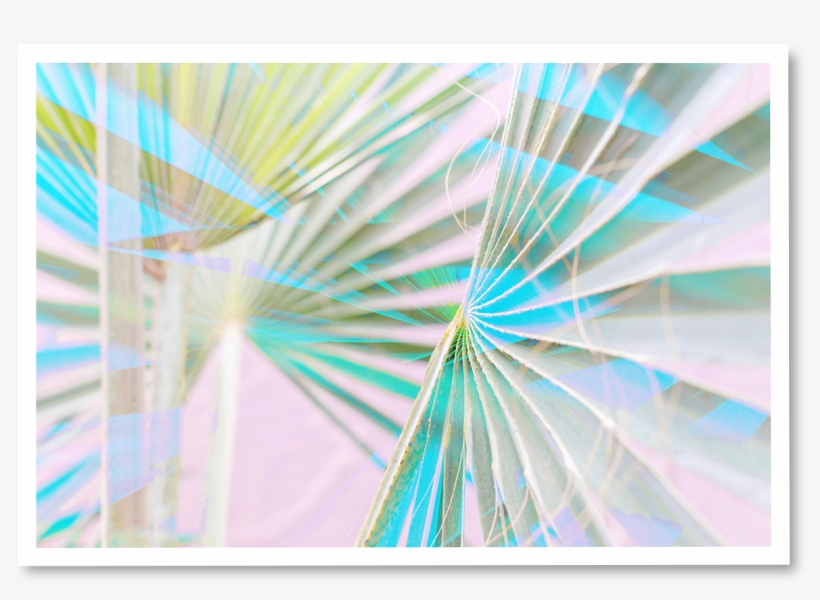 Neon Light Palms ~ N° - Ferris Wheel, transparent png #8575152