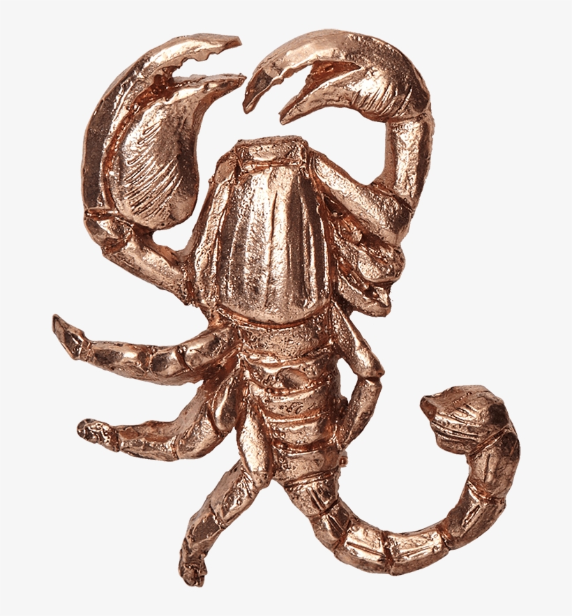 Fw18 - Scorpion, transparent png #8575425