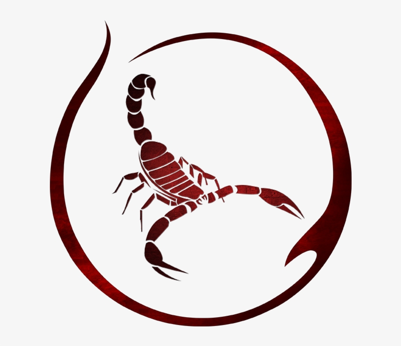 Privacy Overview - Scorpio Bash, transparent png #8575681