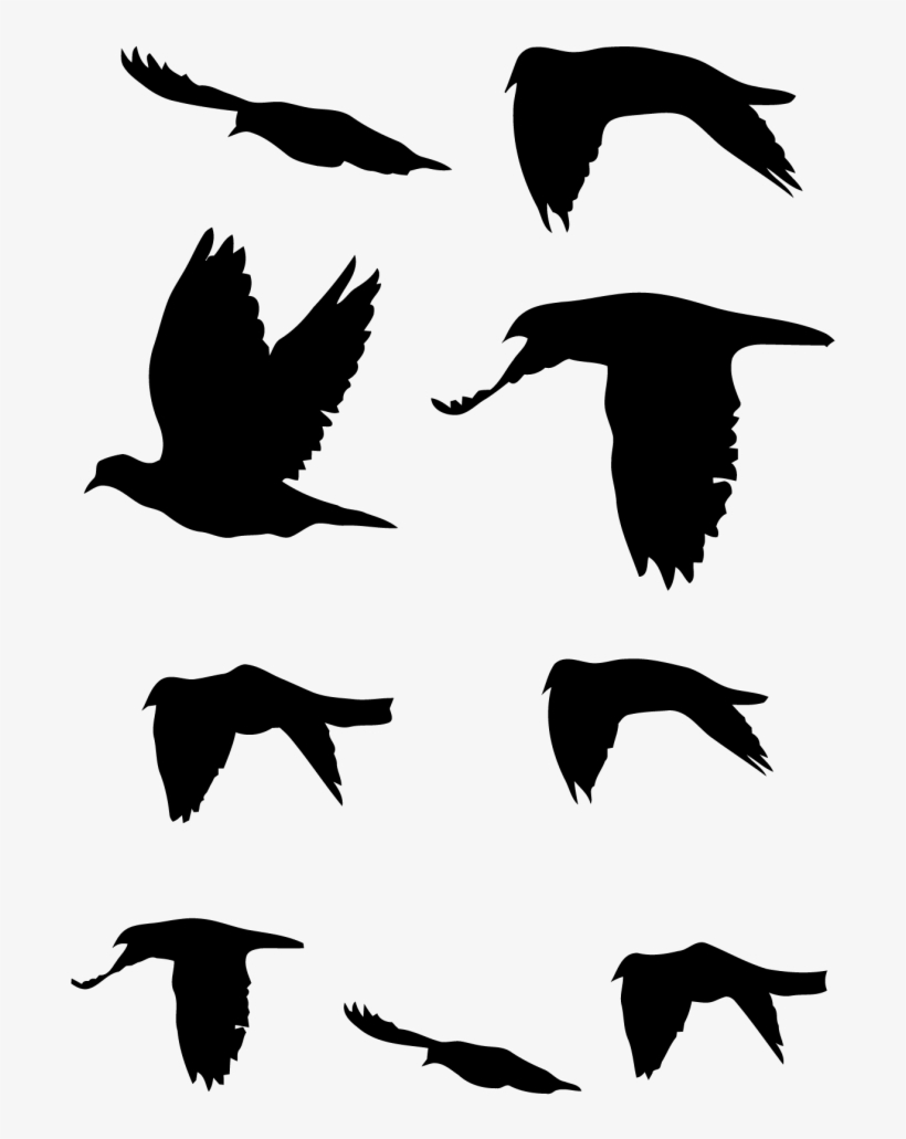 Flying Doves Decal Pack - Flock, transparent png #8575903