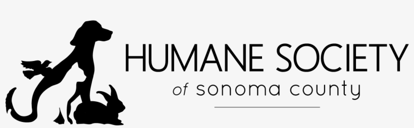 New Logo Horizontal Plain - Monochrome, transparent png #8576238