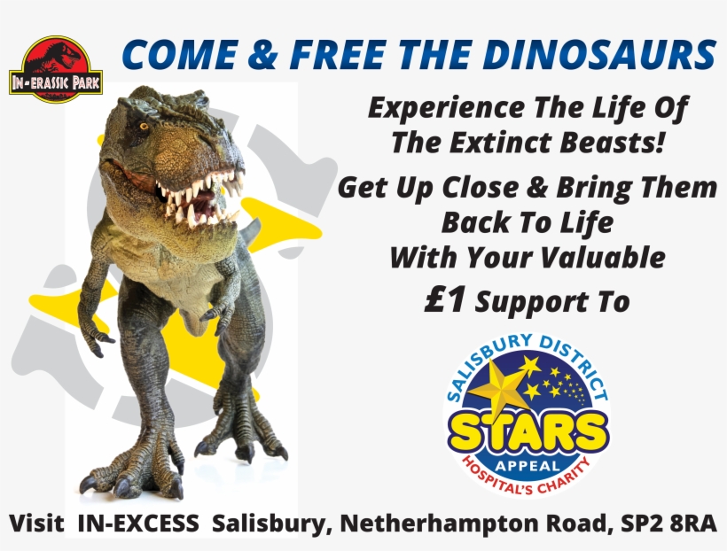 Stars Appeal, transparent png #8576580