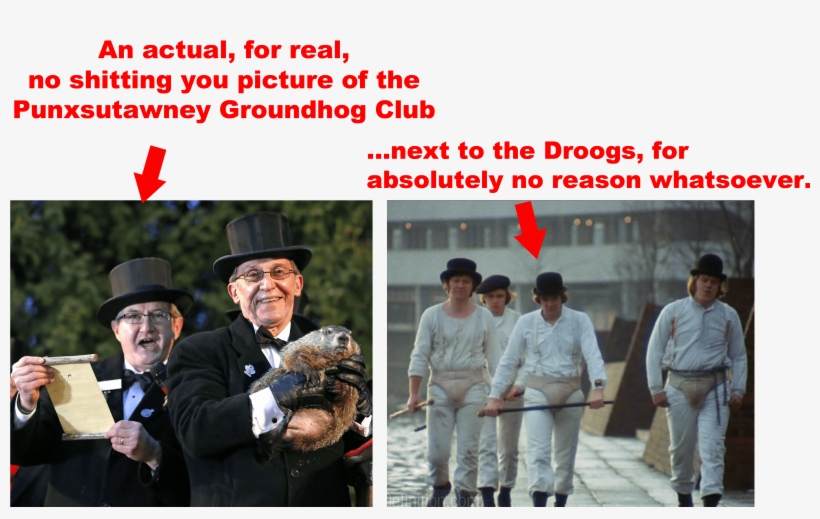 The Punxsutawney Boys - Ultra Violence, transparent png #8578886