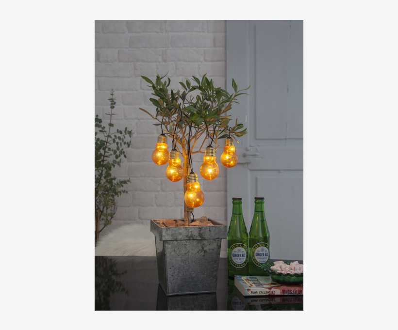 Light Chain Glow - Houseplant, transparent png #8579447