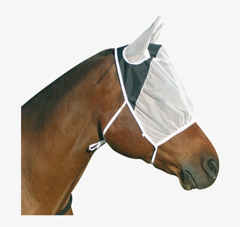 Sorrel, transparent png #8581379