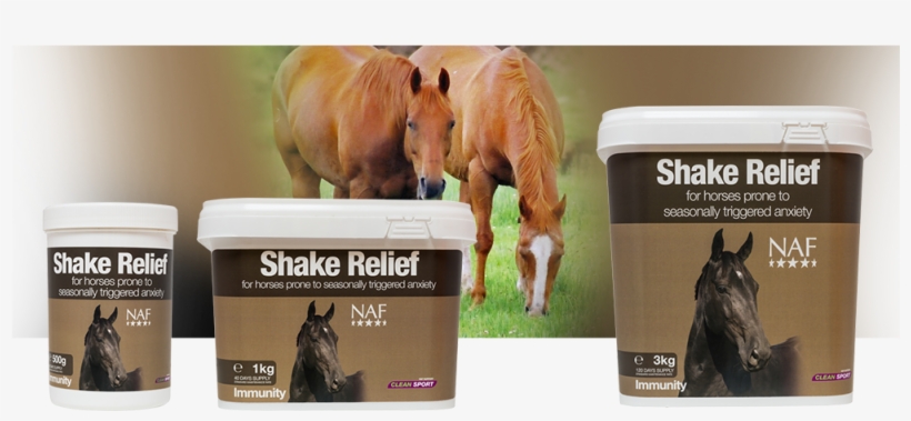 Nutritional Support For Horses Showing Signs Of Seasonal - Sorrel, transparent png #8581728