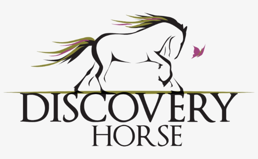 Mane - Free Transparent PNG Download - PNGkey