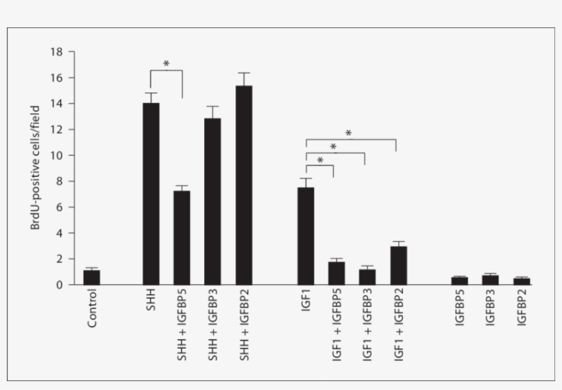 Shh-induced Proliferation Is Specifically Inhibited - Diagram, transparent png #8582175