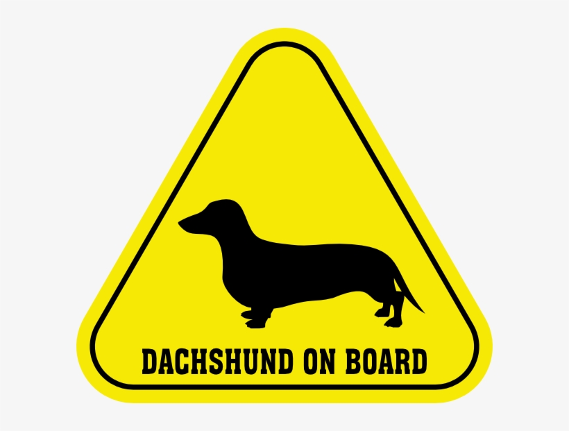 Small - Dachshund On Board, transparent png #8582434