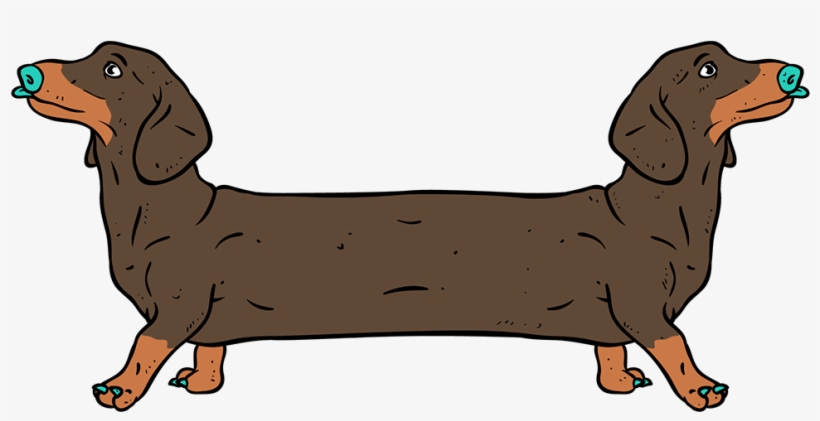 Save To Collection - Dachshund, transparent png #8583120