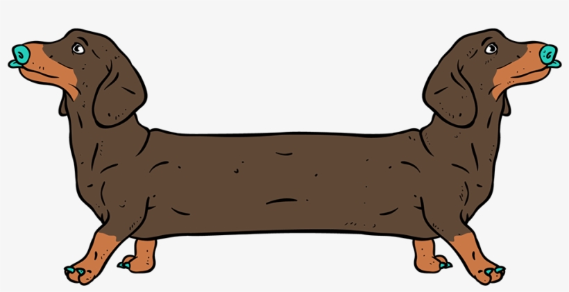 Save To Collection - Dachshund, transparent png #8583120