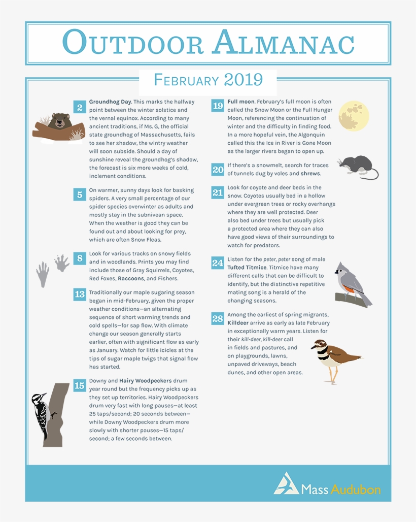 0 Replies 2 Retweets 2 Likes - Brochure, transparent png #8583769