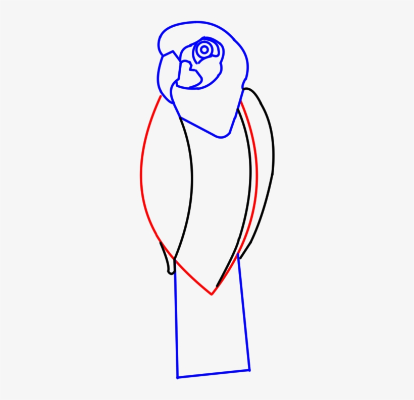 Step5 Parrot Cartoon Body Lines, transparent png #8585161