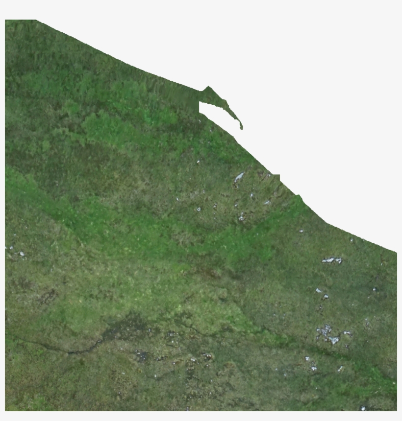 Kml Href, E1030 - Grass, transparent png #8587300