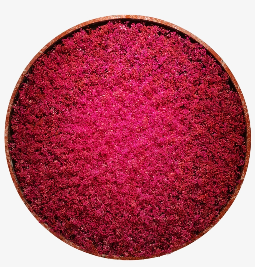 Baby's Breath Flower Human Breathing Pattern Data New - Circle, transparent png #8587507