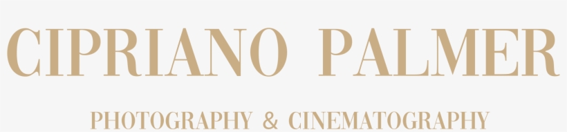 About - Human Action, transparent png #8587729