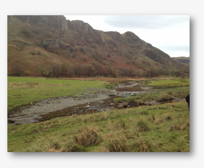 Members Site Visits Archive - Grass, transparent png #8587818