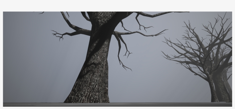 Old Tree Pack - Oak, transparent png #8588193