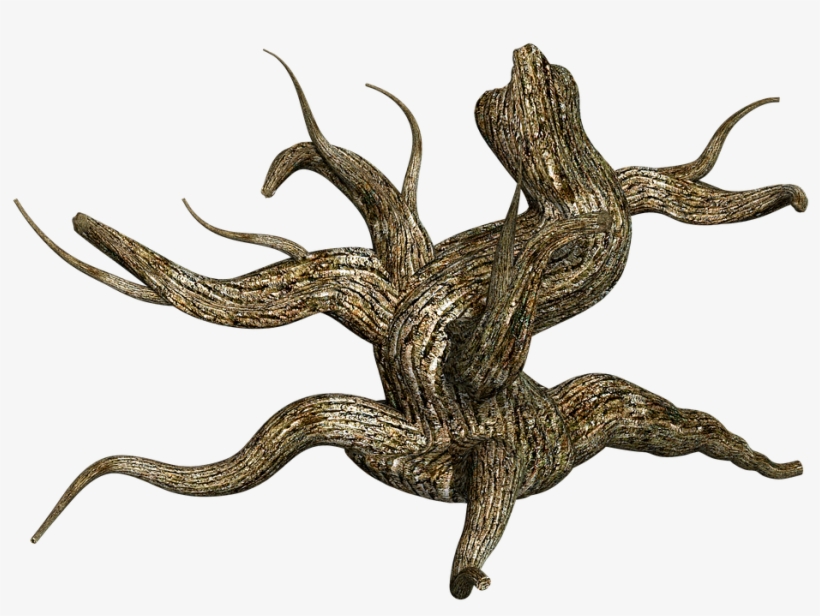 Stump, Tree, Wood, Nature, Plant, Timber, Old, Trunk - Png Pařezy, transparent png #8588594