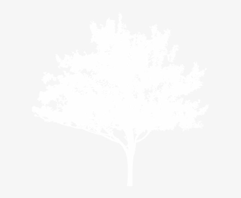 Illustration, transparent png #8588733