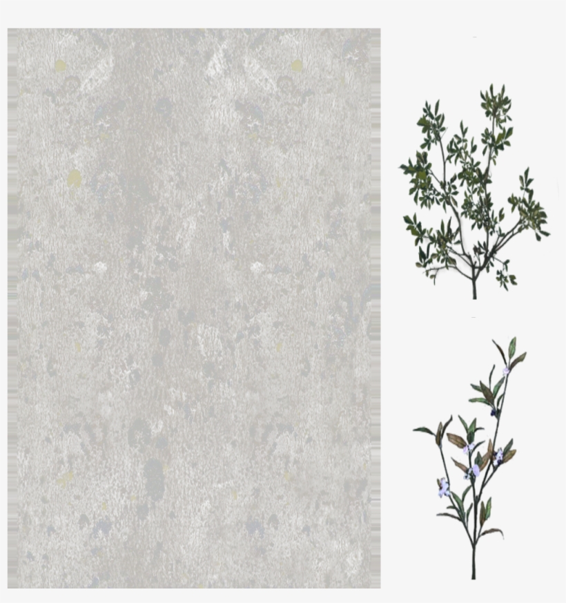 Diffuse - Fumaria, transparent png #8588757