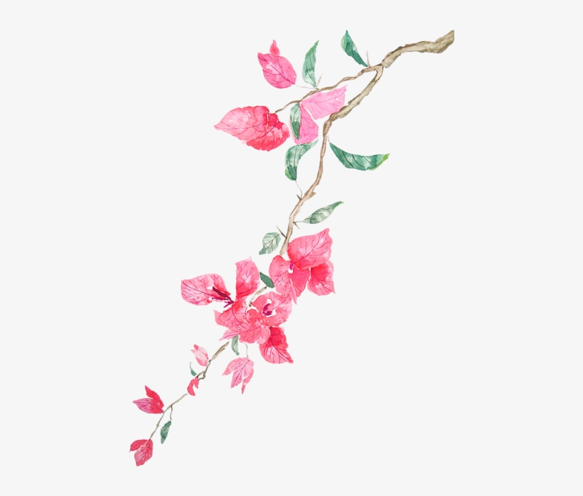 Bleed Area May Not Be Visible - Bougainvillea Watercolor, transparent png #8588980