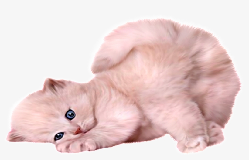 Beautiful And Cute Cartoon Cat Vector Image - White Kitten Transparent Background, transparent png #8589137