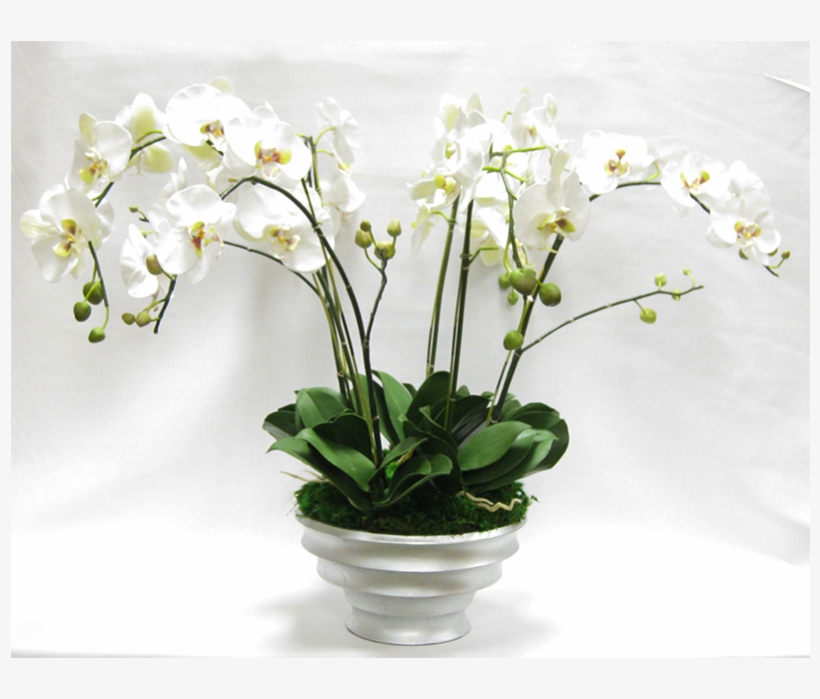 - Resin Round Container Silver Leaf - Artificial Flower, transparent png #8589390
