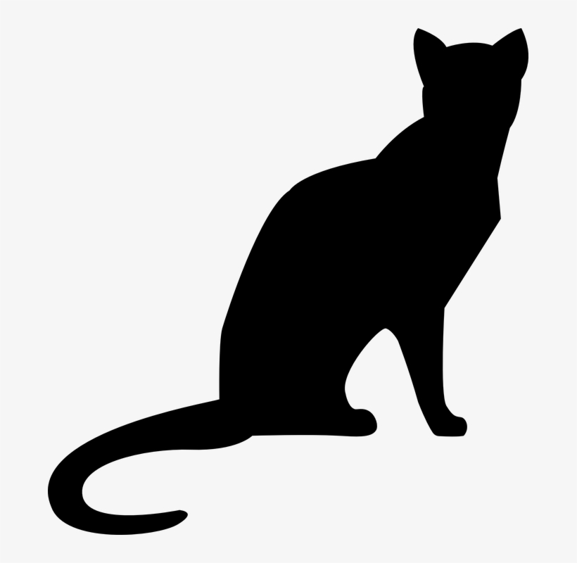 Cat Sitting Mieze - 고양이 그림자, transparent png #8589393