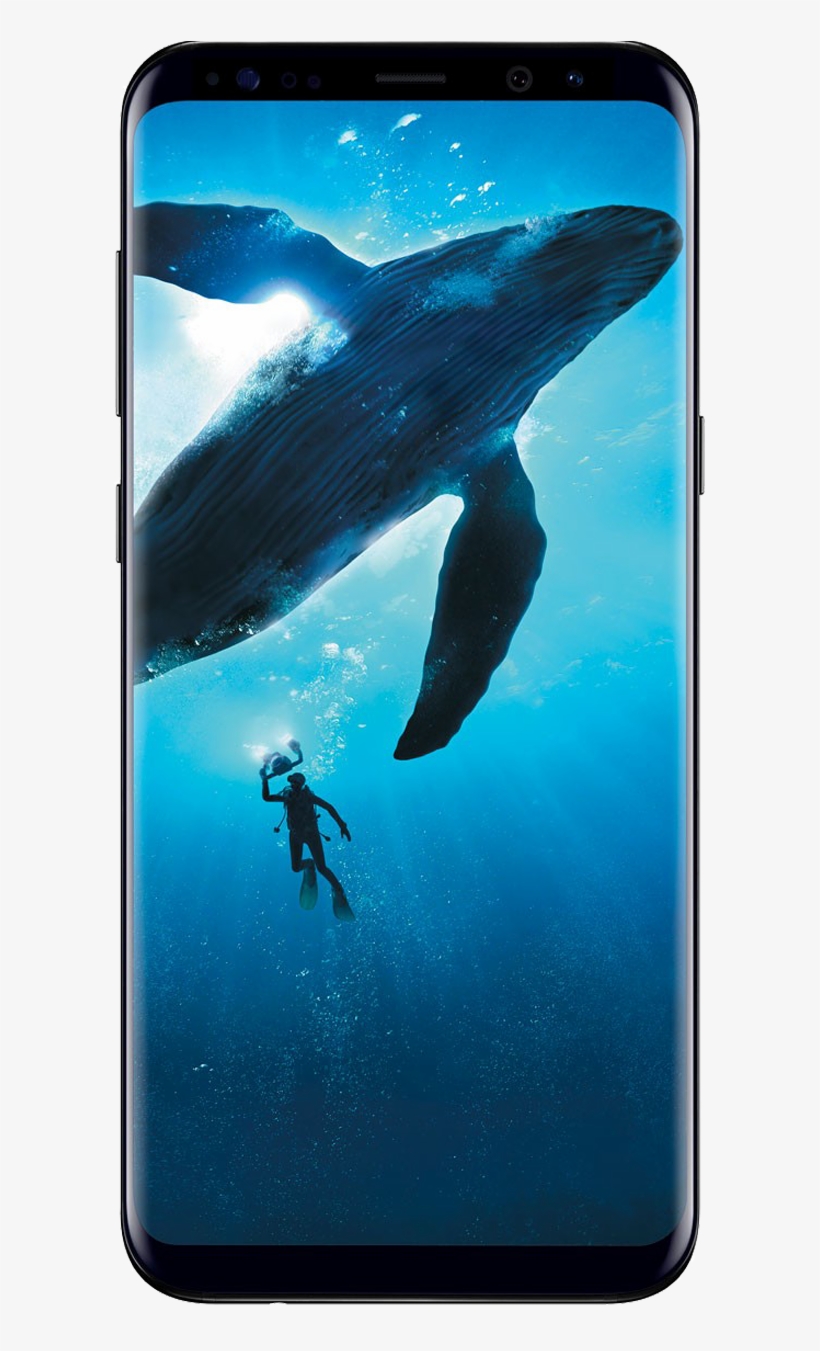 Galaxy S8 Png - Samsung Galaxy S8 Price In India, transparent png #8589837