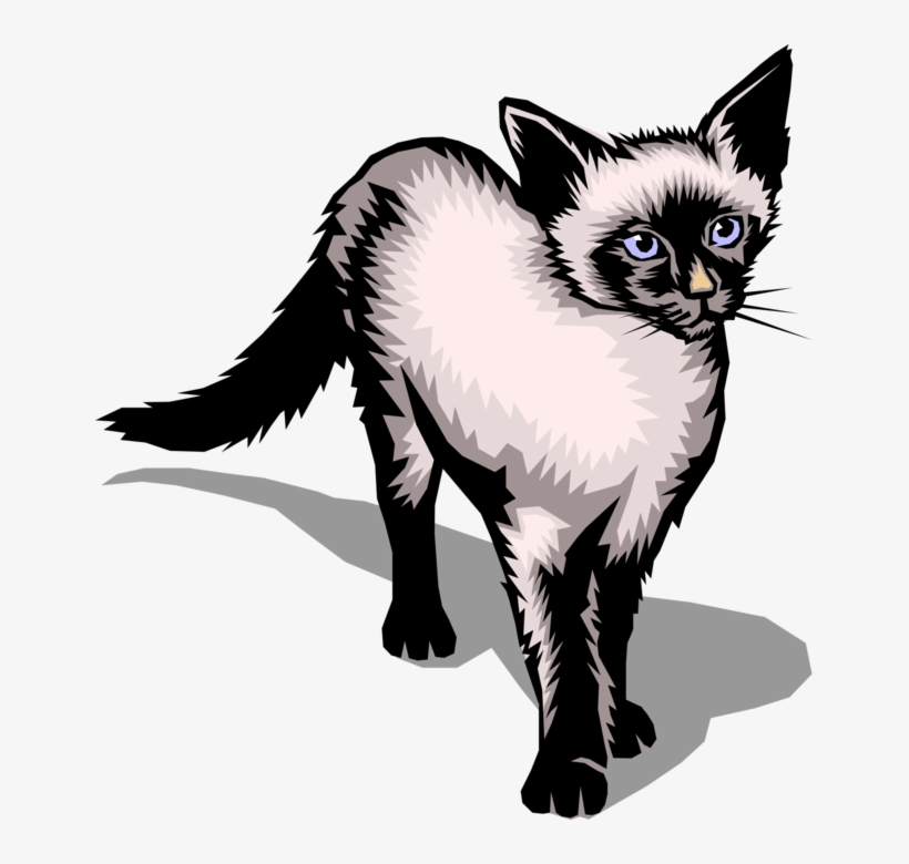Vector Illustration Of Family Pet Small Domesticated - Siamese Cat, transparent png #8589859